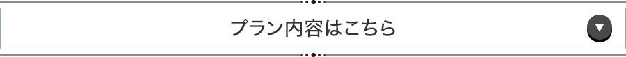 プラン内容はこちら