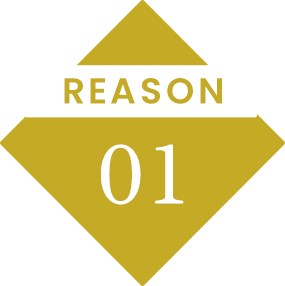 REASON 01