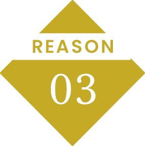 REASON 03