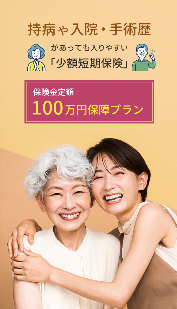 少額短期保険