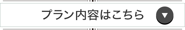 プラン内容はこちら